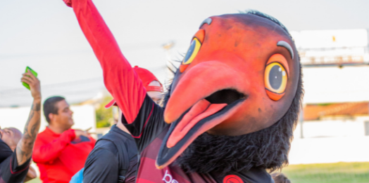 Íbis comemora 83 anos de fundação